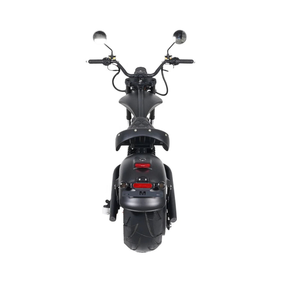 ZJW STLF  EEC COC Electric Scooter High Speed 72V Removable Battery 4000W Fat Tire 80km/h Citycoco AXSSIBLZ