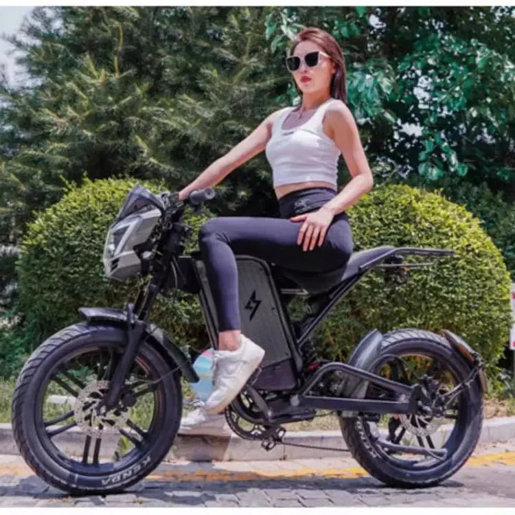 Retro Beach Two Wheel Electric Bike Wide Fat Tire Power Assist Pedal Electric Bike with 48V Downtube Battery AXSSIBLZ