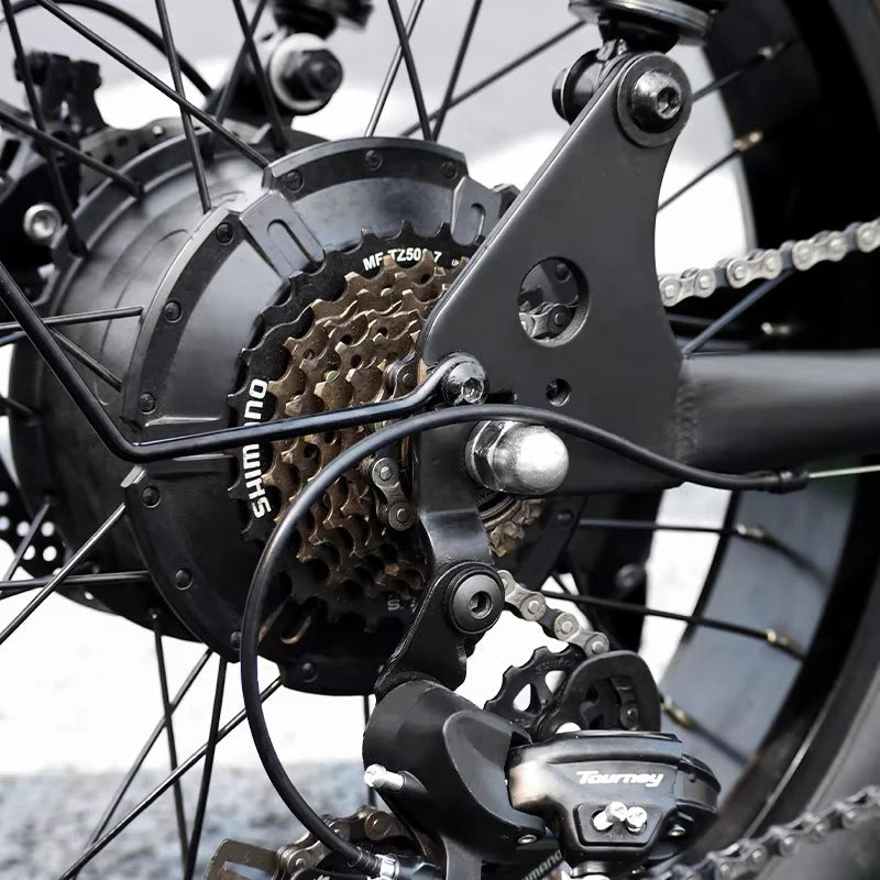 15.6Ah*2 Dual Battery Fat Tire Electric Bike Fat Tyre  E Bicycle Fat Bike Electric Dirt Bike 48V 1000W 2000w Brushless Motors AXSSIBLZ