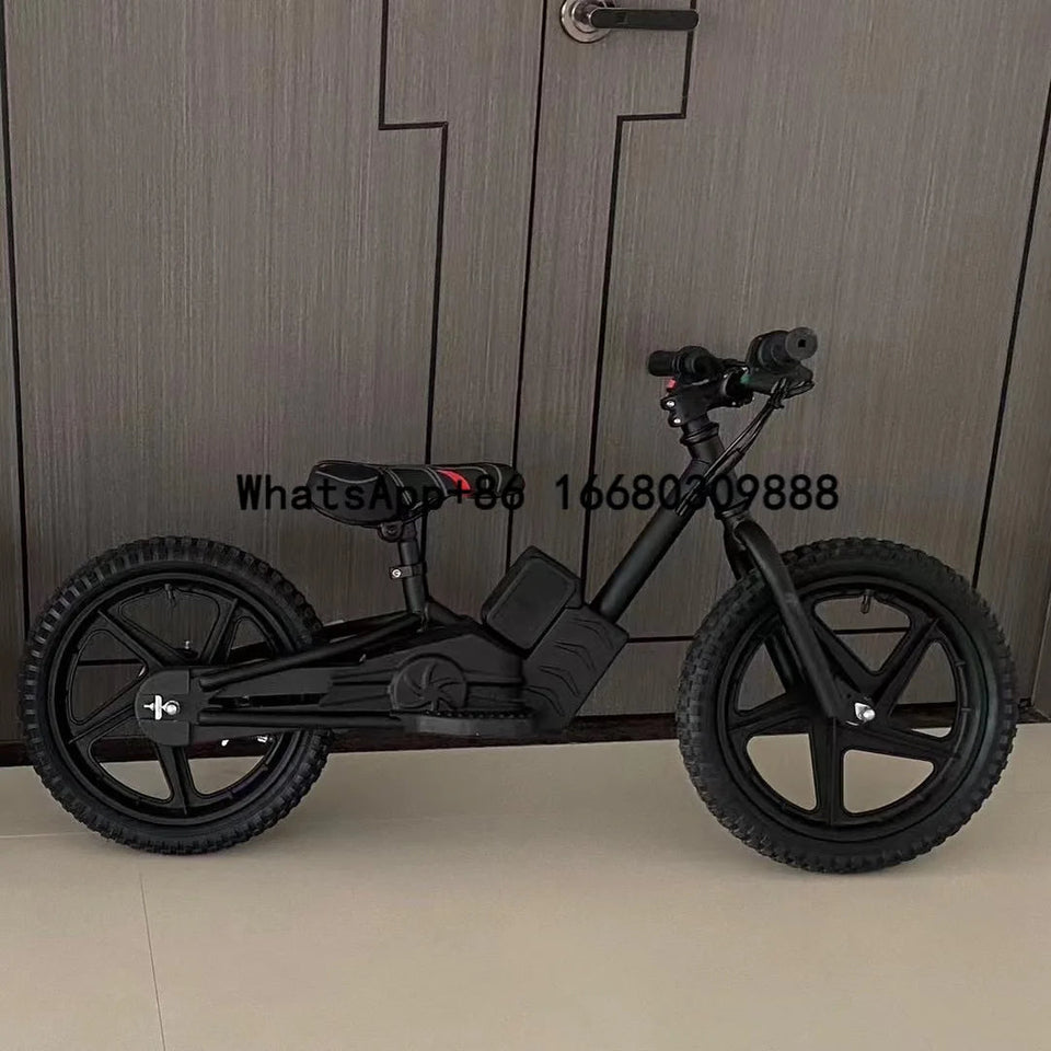 80W 24V Luxury Electric Balance Bike for Boys and Girls to Outdoor Play /Popular Racing Ride on Motorcycles AXSSIBLZ