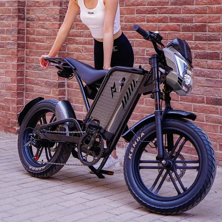 Retro Beach Two Wheel Electric Bike Wide Fat Tire Power Assist Pedal Electric Bike with 48V Downtube Battery AXSSIBLZ