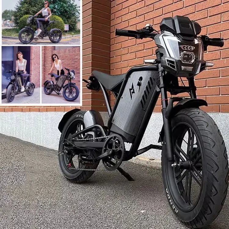 Retro Beach Two Wheel Electric Bike Wide Fat Tire Power Assist Pedal Electric Bike with 48V Downtube Battery AXSSIBLZ