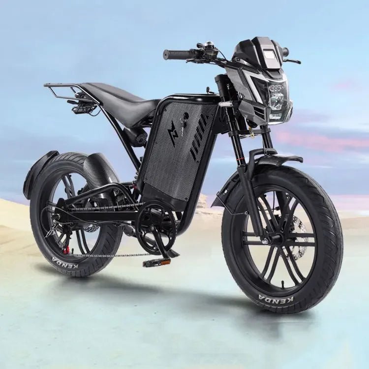 Retro Beach Two Wheel Electric Bike Wide Fat Tire Power Assist Pedal Electric Bike with 48V Downtube Battery AXSSIBLZ