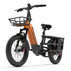 LANKELEISI Wombat-1 20" Cargo Electric Bike 1000W Motor 48V 20Ah Battery AXSSIBLZ