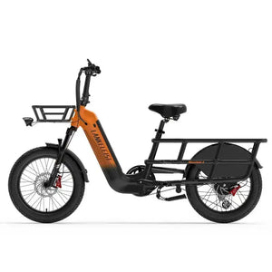 LANKELEISI Wombat-1 20" Cargo Electric Bike 1000W Motor 48V 20Ah Battery AXSSIBLZ