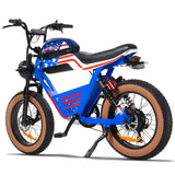 HAPPYRUN G100 Global Comme Morative Electric Bikes All-Terrain Electric Motor Bike 1000w Motor 18Ah+20Ah Dual Battery AXSSIBLZ
