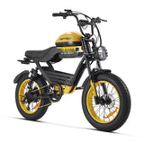 HAPPYRUN G100 Global Comme Morative Electric Bikes All-Terrain Electric Motor Bike 1000w Motor 18Ah+20Ah Dual Battery AXSSIBLZ