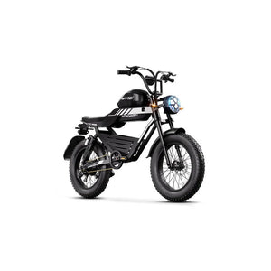 HAPPYRUN G100 Global Comme Morative Electric Bikes All-Terrain Electric Motor Bike 1000w Motor 18Ah+20Ah Dual Battery AXSSIBLZ