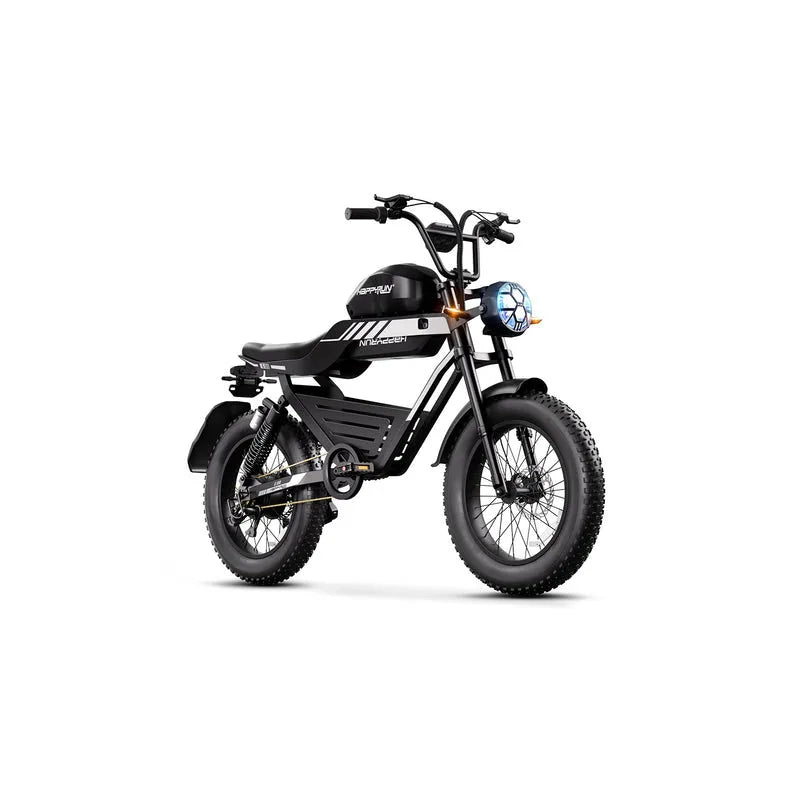 HAPPYRUN G100 Global Comme Morative Electric Bikes All-Terrain Electric Motor Bike 1000w Motor 18Ah+20Ah Dual Battery AXSSIBLZ
