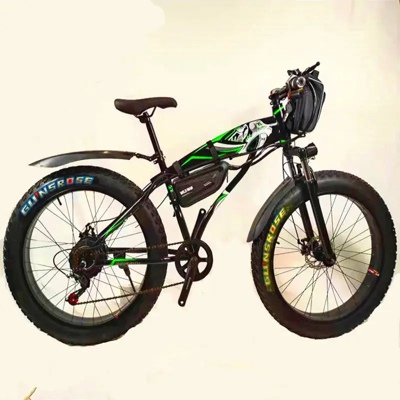 Fat tire electric bike