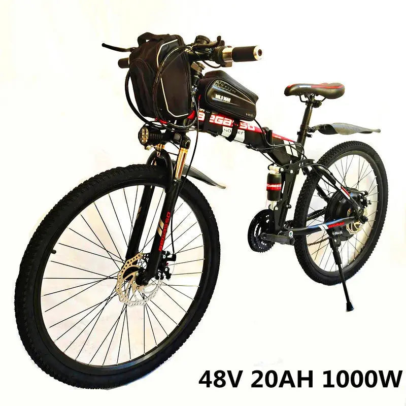 Begasso electric bike