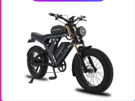 US Stock 1500w 48V Fat Tire Electric Bike Motorcycle Adults Off Road With Removable Dual Battery Mountain All-Terrain Bikes AXSSIBLZ