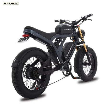 US Stock 1500w 48V Fat Tire Electric Bike Motorcycle Adults Off Road With Removable Dual Battery Mountain All-Terrain Bikes AXSSIBLZ