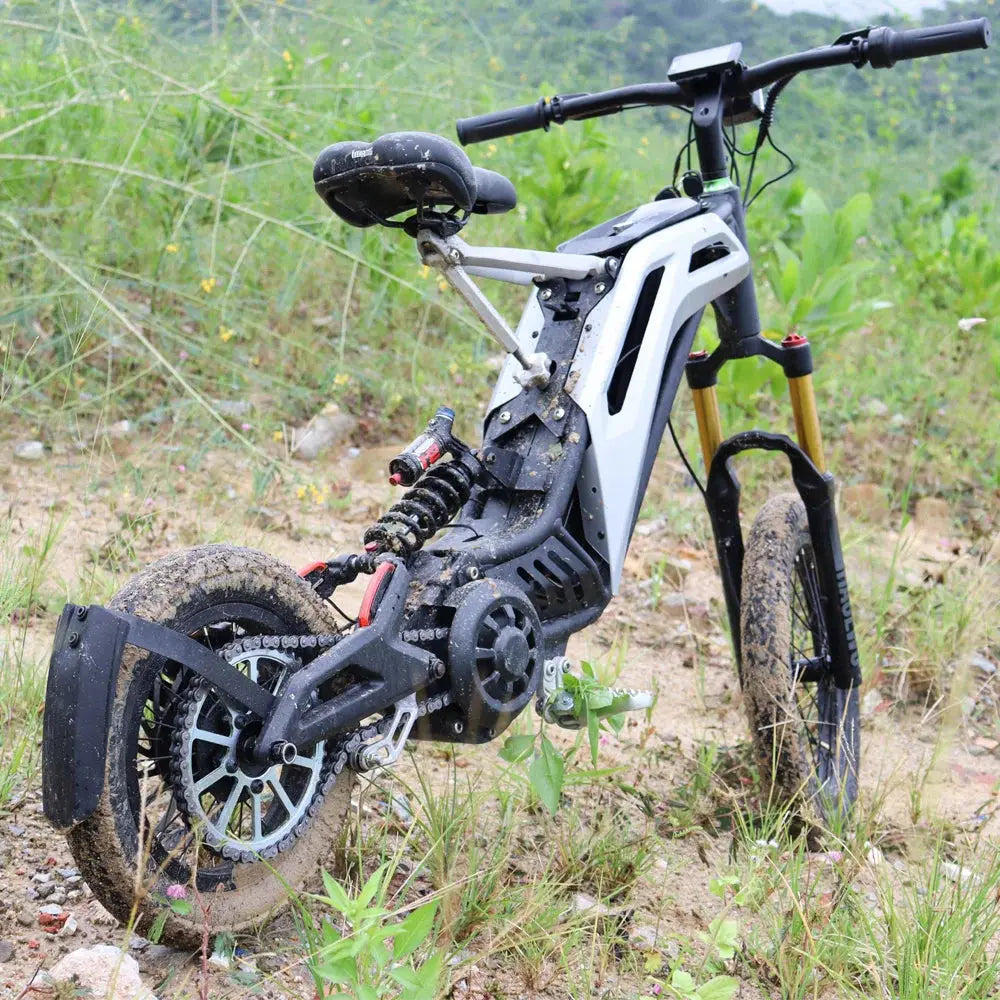 Titaone L1 Plus E-Bike - AXSSIBLZ