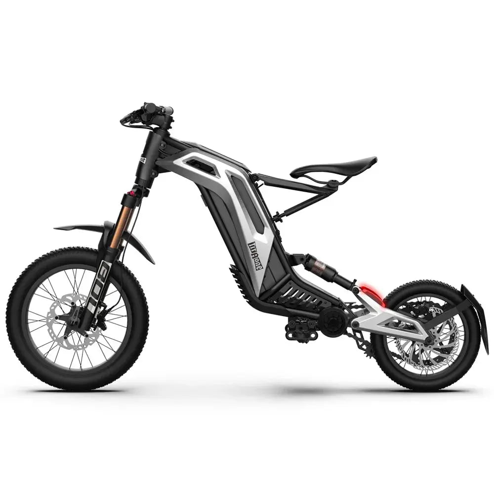 Titaone L1 Plus E-Bike - AXSSIBLZ