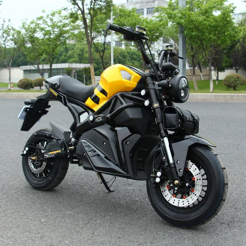 Dongma 2023 Newest Adult 2 Wheel Electric Offroad Motorcycle With Long Range AXSSIBLZ