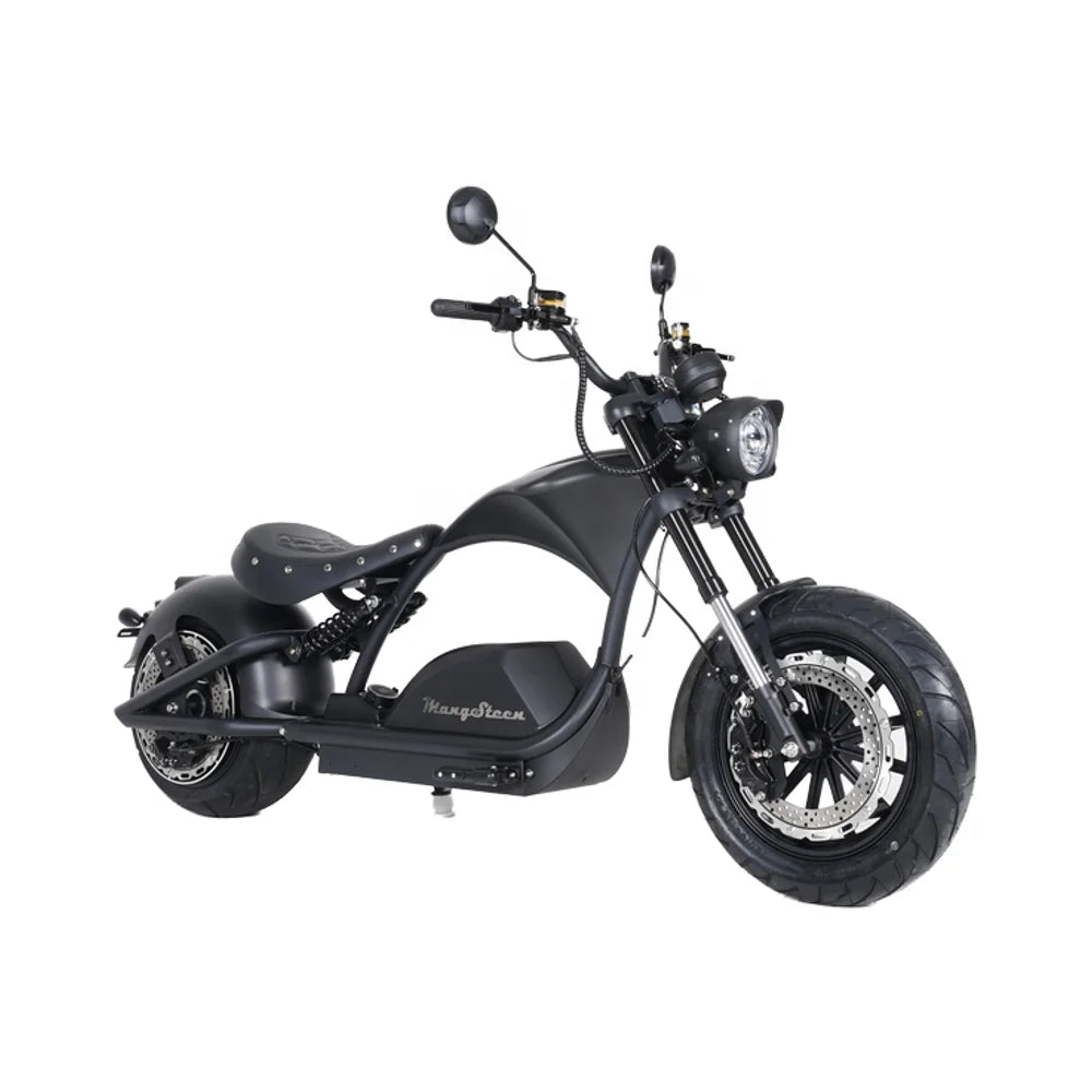 ZJW STLF  EEC COC Electric Scooter High Speed 72V Removable Battery 4000W Fat Tire 80km/h Citycoco AXSSIBLZ
