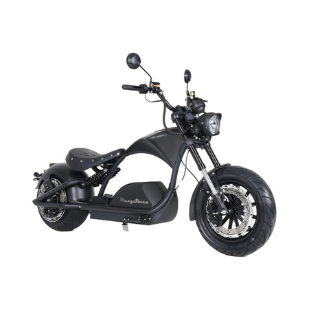 ZJW STLF  EEC COC Electric Scooter High Speed 72V Removable Battery 4000W Fat Tire 80km/h Citycoco AXSSIBLZ