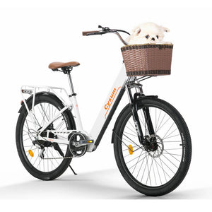 women's Ebike Electric Bicycle 26" 250W mid motor City Ebike Pedelec with Bicycle Basket Cup HolderSports Entertainment Cycling AXSSIBLZ