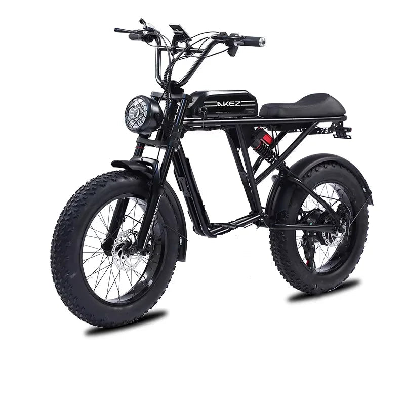 750W Electric Bike - 20-inch, Retro Off-Road, 45 KM/H Speed W/ Removable Battery 45KM/H AXSSIBLZ