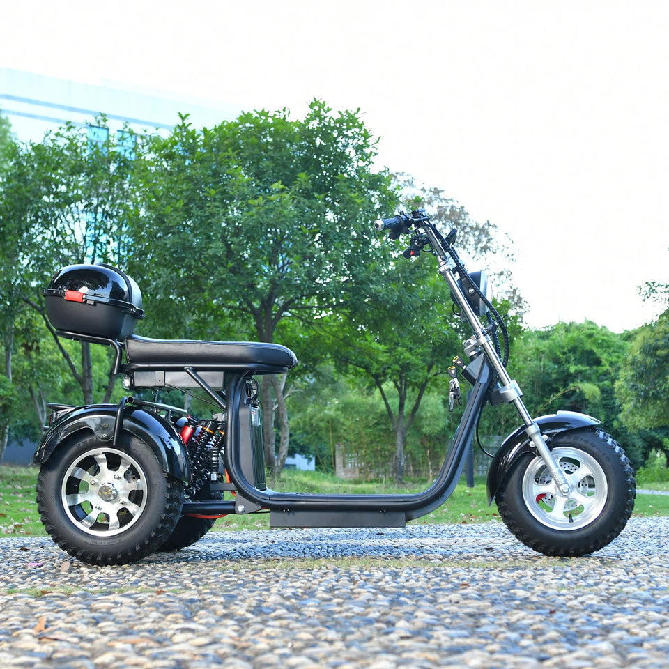 Adults 3 Wheel Electric Scooter 3000W Motor Max Speed 40KM/H Max Load 200KG 18 Inch Off Road Fat Tire Electric Motorcycle AXSSIBLZ