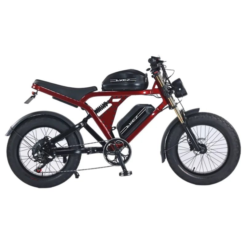 US Stock 1500w 48V Fat Tire Electric Bike Motorcycle Adults Off Road With Removable Dual Battery Mountain All-Terrain Bikes AXSSIBLZ