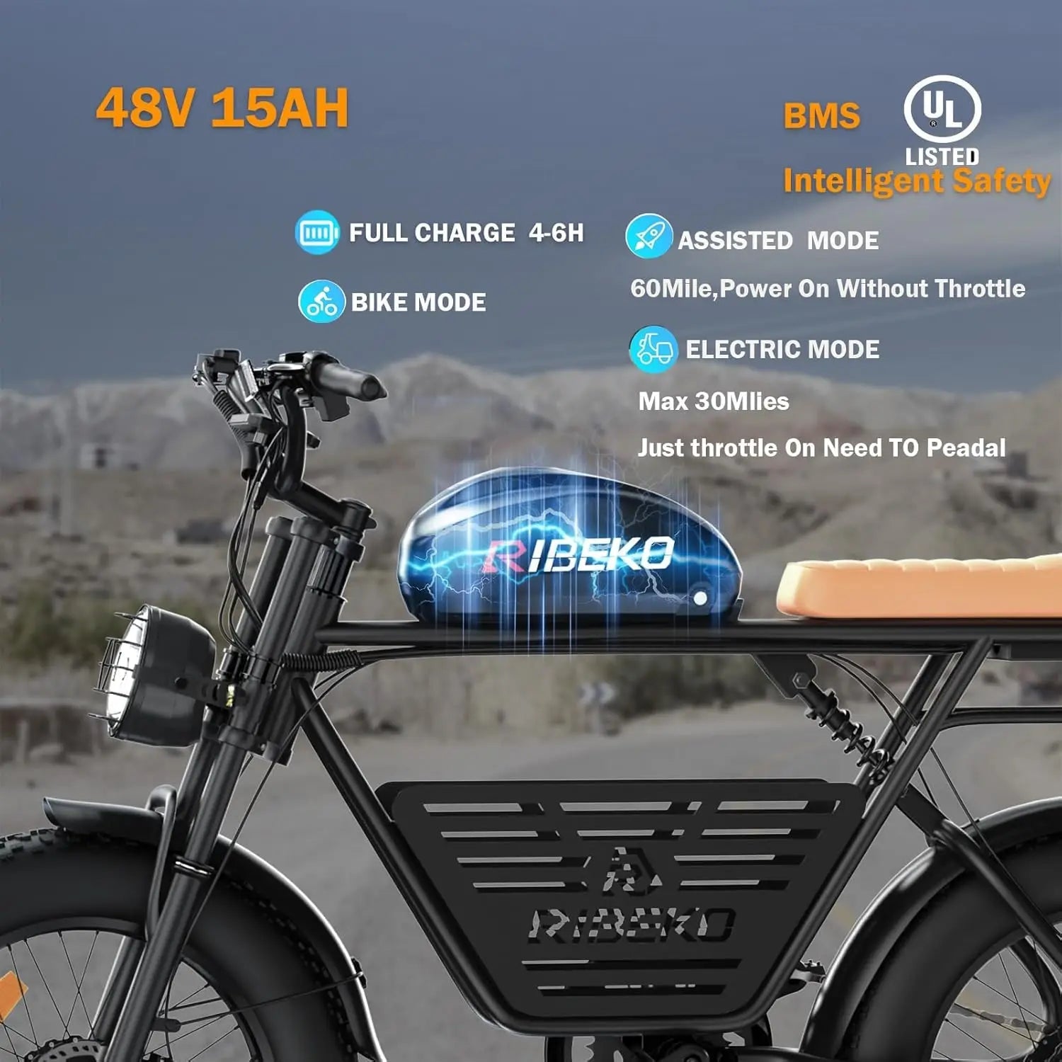 CT20Pro Electric Bike for Adults,Dual Motor 2000W 20 in Fat Tire Ebike,Up to 37MPH & 80 Miles,48V 25Ah Removable Battery AXSSIBLZ