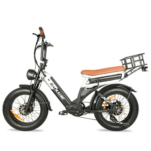 2000W Peak Cargo Electric Bike for Adults with Dual 15Ah Batteries(30Ah) Shima 7 Speed 80Miles-150Miles Long Range Electric Bike AXSSIBLZ
