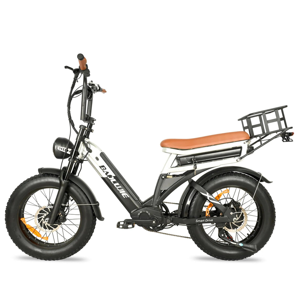 2000W Peak Cargo Electric Bike for Adults with Dual 15Ah Batteries(30Ah) Shima 7 Speed 80Miles-150Miles Long Range Electric Bike AXSSIBLZ