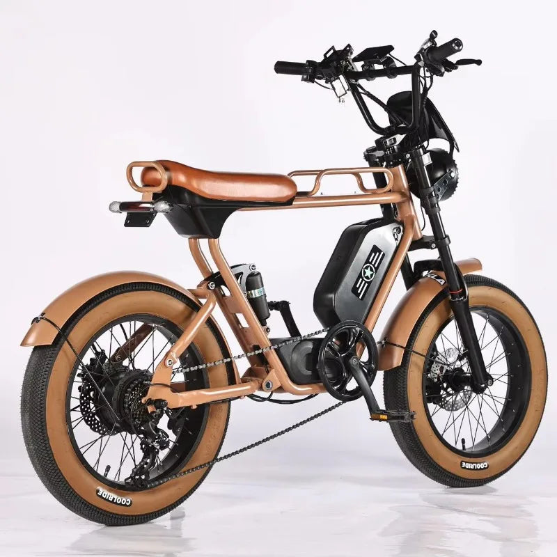 Best Selling 1000W 20 Inch Wide Tire Electric Bike 7 Speed Urban Electric Bike Off Road Electric Mountain Bike AXSSIBLZ