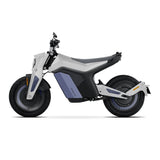 Pro 72V 95/110Kmh High Speed 2025 Electric Motorcycle Adult with EEC EPA AXSSIBLZ