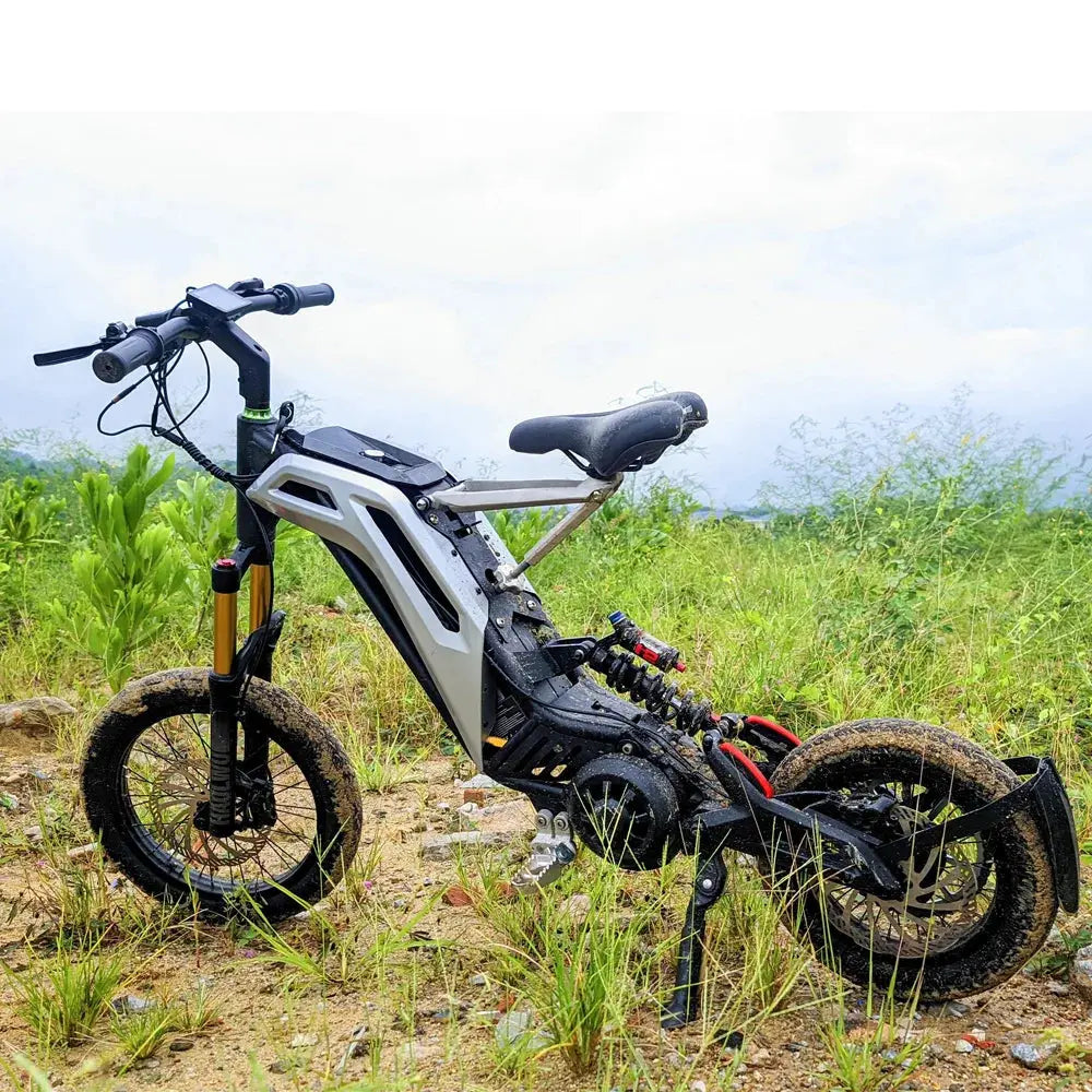 Titaone L1 Plus E-Bike - AXSSIBLZ