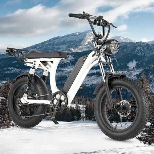 Ebike S1 Bike 750W 48V 16AH Men's/Ladies 7-speed 20-inch Off-Road City Electric Bike Available for Beaches Mountains AXSSIBLZ