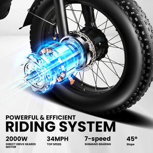 2000W Peak Cargo Electric Bike for Adults with Dual 15Ah Batteries(30Ah) Shima 7 Speed 80Miles-150Miles Long Range Electric Bike AXSSIBLZ