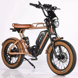 Best Selling 1000W 20 Inch Wide Tire Electric Bike 7 Speed Urban Electric Bike Off Road Electric Mountain Bike AXSSIBLZ