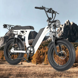Ebike S1 Bike 750W 48V 16AH Men's/Ladies 7-speed 20-inch Off-Road City Electric Bike Available for Beaches Mountains AXSSIBLZ