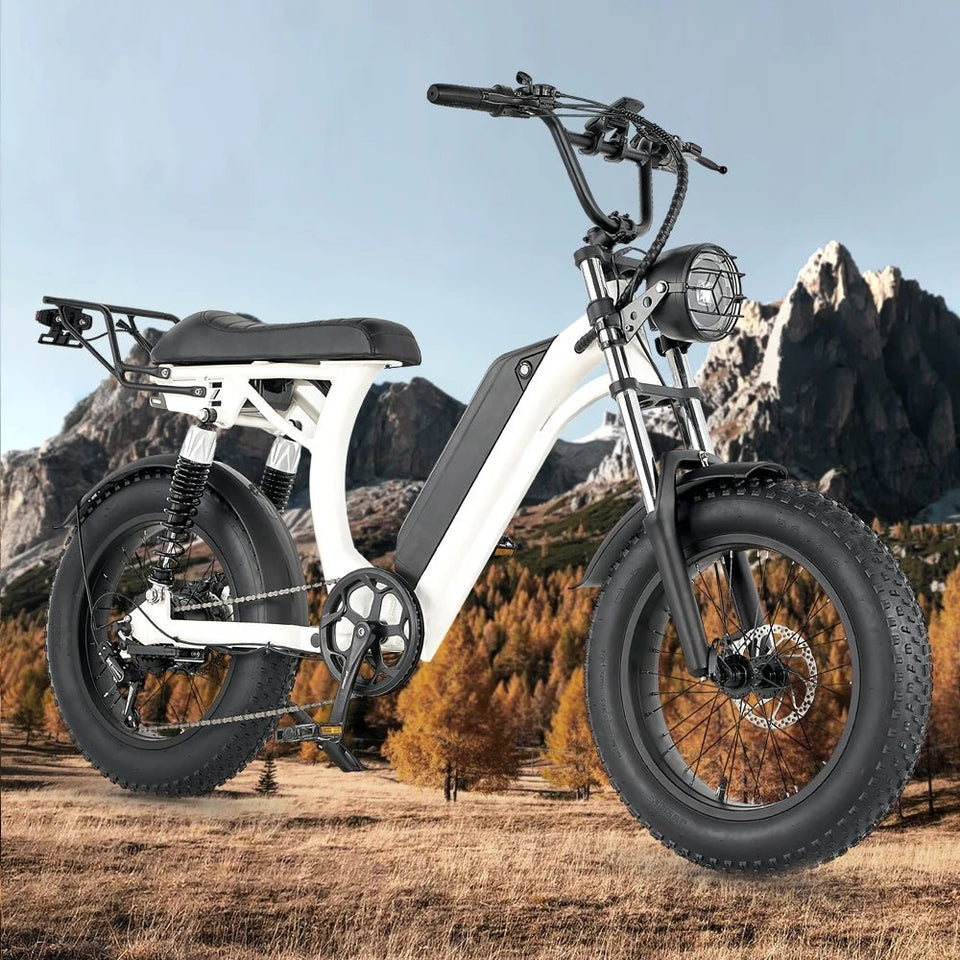 Ebike S1 Bike 750W 48V 16AH Men's/Ladies 7-speed 20-inch Off-Road City Electric Bike Available for Beaches Mountains AXSSIBLZ