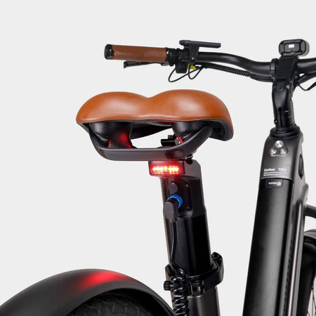 MIHOGO Electric Bike AIR MAX Electric Bicycle 750W 48v 9.6AH +9.6AH Battery  Ebike AXSSIBLZ