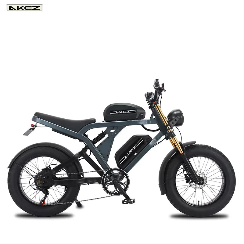 US Stock 1500w 48V Fat Tire Electric Bike Motorcycle Adults Off Road With Removable Dual Battery Mountain All-Terrain Bikes AXSSIBLZ