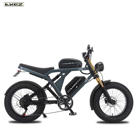 US Stock 1500w 48V Fat Tire Electric Bike Motorcycle Adults Off Road With Removable Dual Battery Mountain All-Terrain Bikes AXSSIBLZ