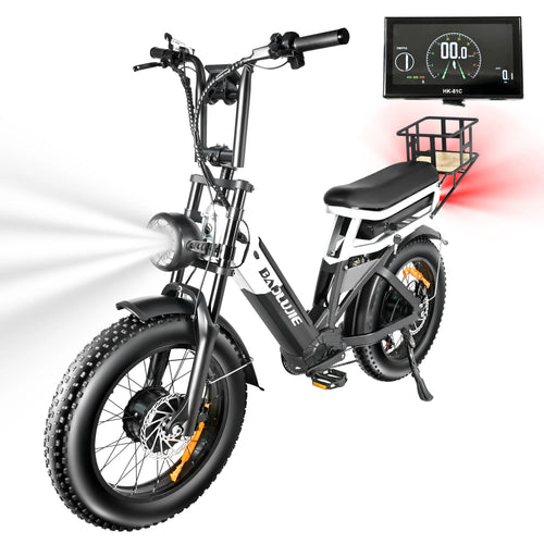 2000W Peak Cargo Electric Bike for Adults with Dual 15Ah Batteries(30Ah) Shima 7 Speed 80Miles-150Miles Long Range Electric Bike AXSSIBLZ