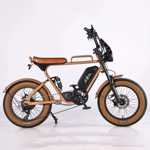 Best Selling 1000W 20 Inch Wide Tire Electric Bike 7 Speed Urban Electric Bike Off Road Electric Mountain Bike AXSSIBLZ