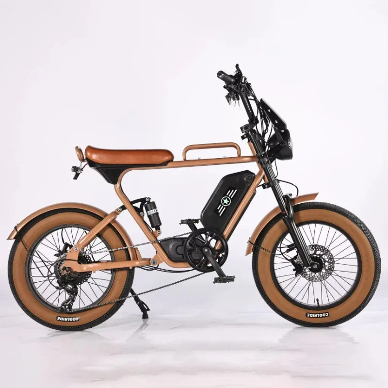 Best Selling 1000W 20 Inch Wide Tire Electric Bike 7 Speed Urban Electric Bike Off Road Electric Mountain Bike AXSSIBLZ