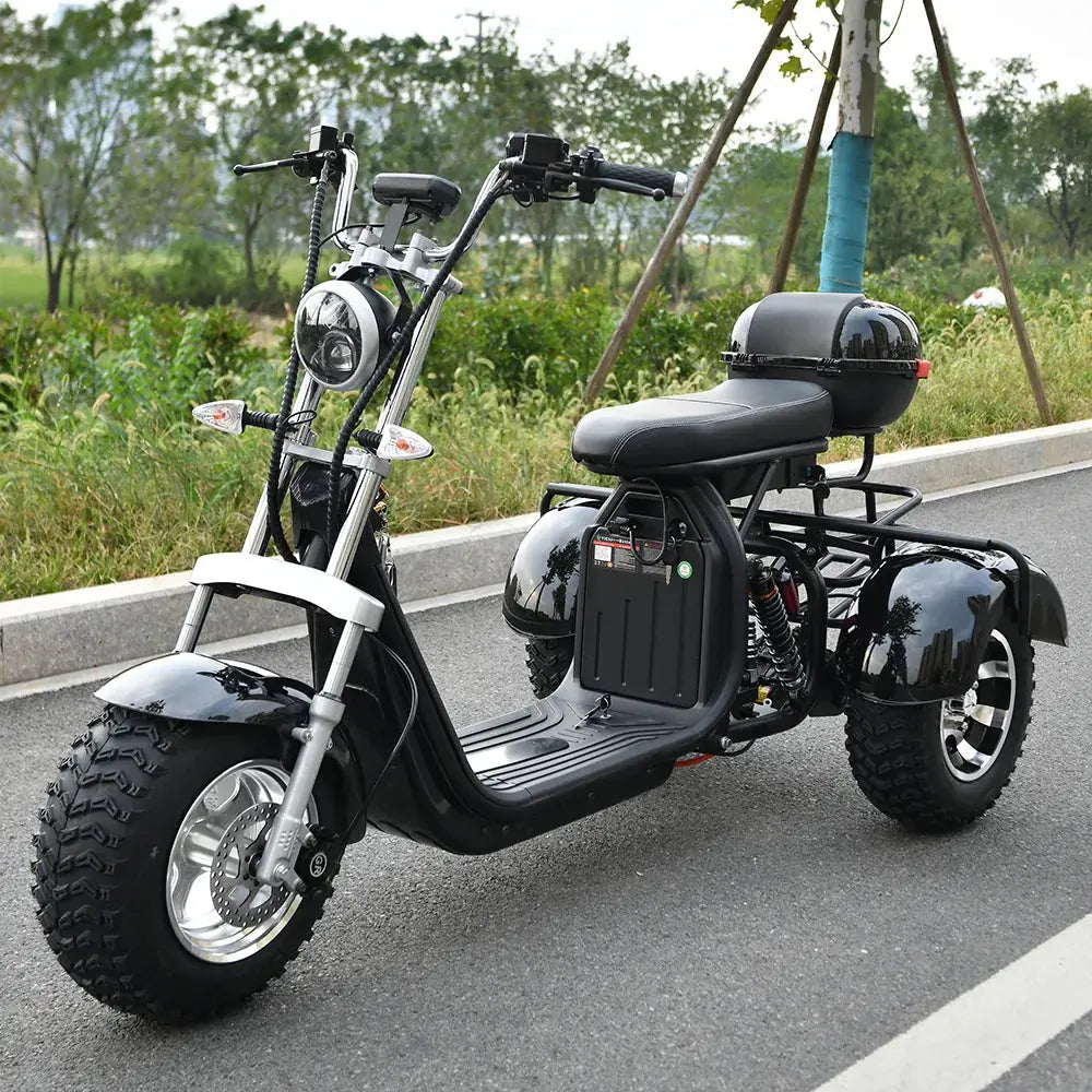 eHoodax Citycoco Fat Tire Electric 3 Wheel Scooter - AXSSIBLZ