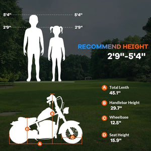 24V Electric Dirt Bike, 250W Electric Motorcycle w/LED Light, Leather Seat- Two Speed Max Up to 14MPH & 60 Minutes Motorbike AXSSIBLZ