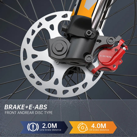 FVKINGE6 off-road electric bicycle 25 inch tires 52V40AH electric motorcycle peak 2900W motor 60KM/H AXSSIBLZ