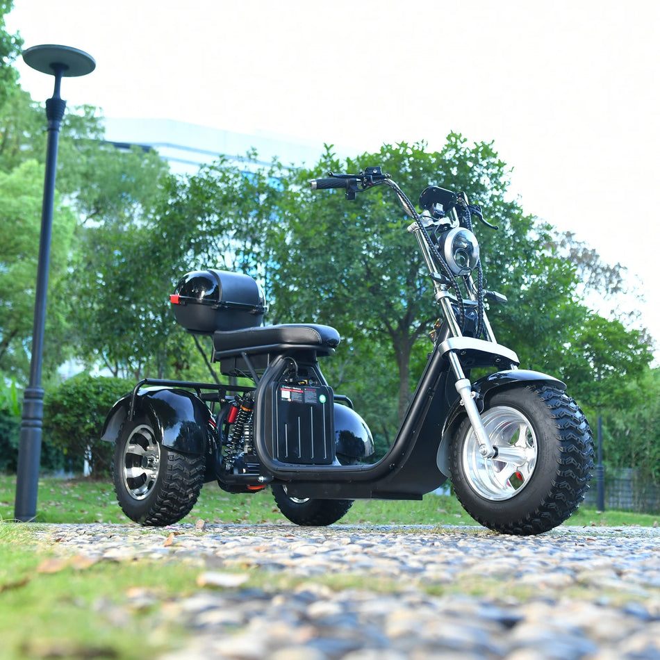 Adults 3 Wheel Electric Scooter 3000W Motor Max Speed 40KM/H Max Load 200KG 18 Inch Off Road Fat Tire Electric Motorcycle AXSSIBLZ