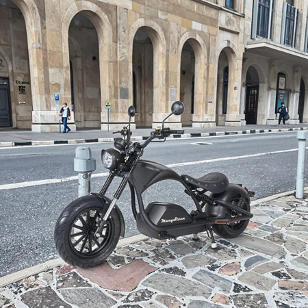 ZJW STLF  EEC COC Electric Scooter High Speed 72V Removable Battery 4000W Fat Tire 80km/h Citycoco AXSSIBLZ