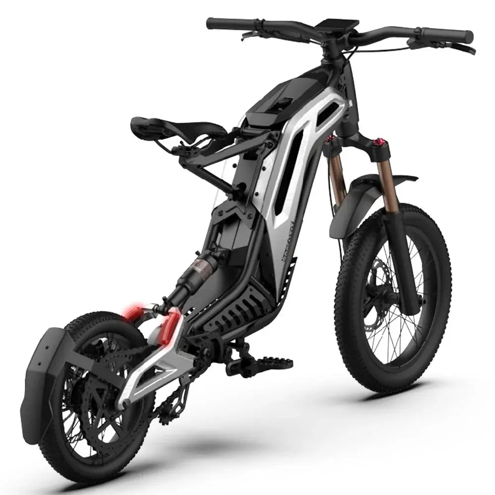 Titaone L1 Plus E-Bike - AXSSIBLZ