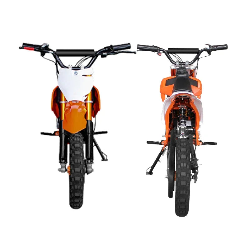 VTC003 ThunderRider 1000W 36v Electric Dirt Bike AXSSIBLZ